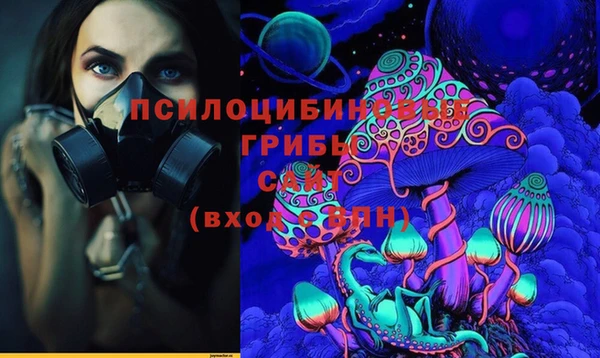 гашик Абаза
