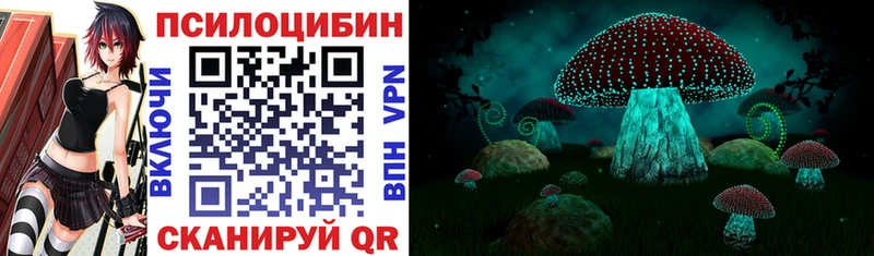 купить цена Юрга Псилоцибиновые грибы Psilocybe